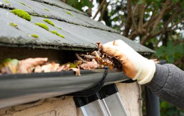 gutter cleaning Parkhouse, Monmouthshire