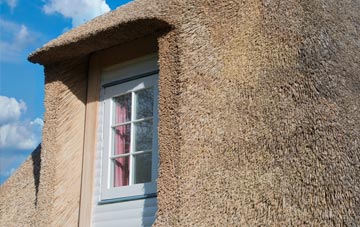 Parkhouse thatch roof disadvantages